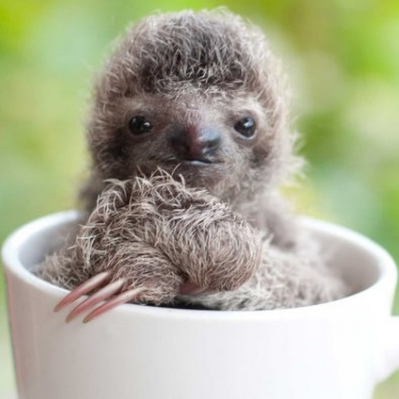 Meet your Posher, Vale - Picture 1 of 1